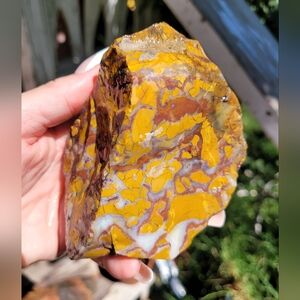 Vibrant Yellow and Purple Banding Rough Lapidary Rare Jasper Stone